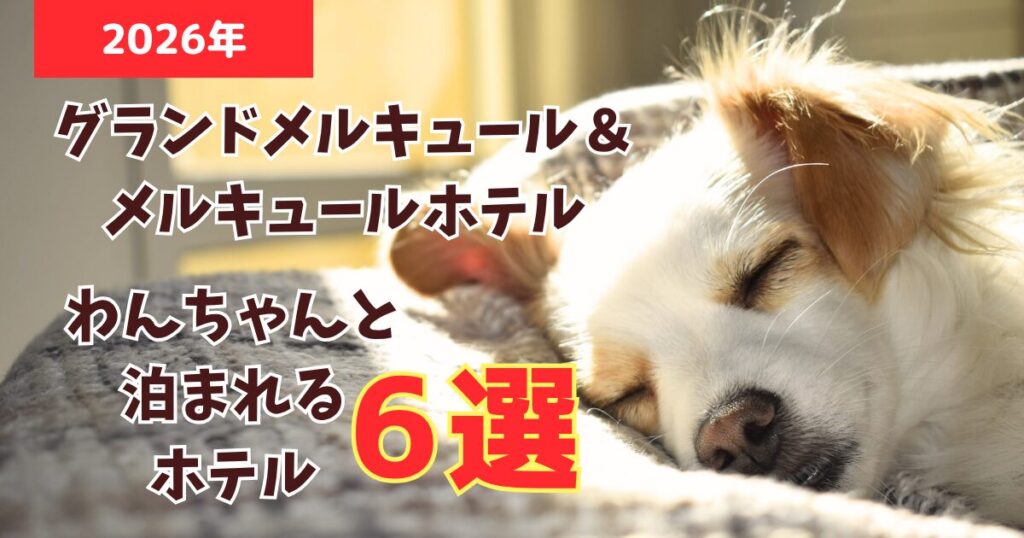 グランドメルキュール＆メルキュールで犬連れで泊まれるホテル６選！
